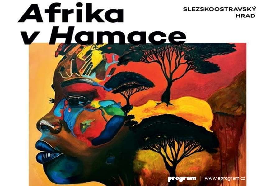 Afrika v Hamace